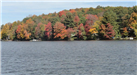 Foliage on Lake