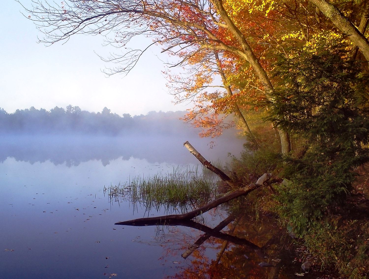 Chelsea Garrison Pond Photograph