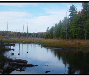 Dyken Pond Enviornmental Education Center
