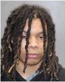 Press Release-Gourrier-Lewis